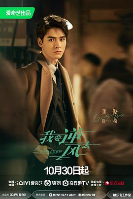 禅城seo排名优化推广